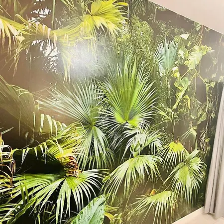 Apartment La Saveur Tropicale-proche Centre Ville-aeroport *